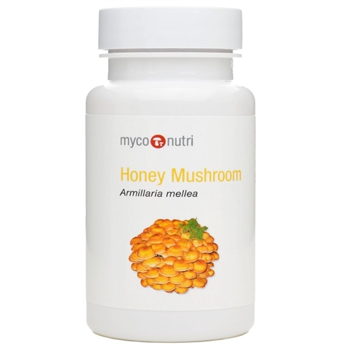 Honey Mushroom ekstrakt